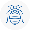 Bed Bug Extermination In Royston