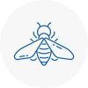 Bee Nest Removal Royston