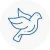 Bird Prevention Royston