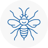 Royston Hornet Nest Removals