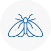 Moth Control Specialists In Royston