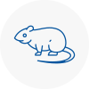 Rat Control Royston