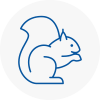 Royston Rodent Removals