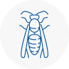 Royston Wasp Nest Removal